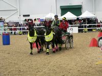 Click for a larger image of Mary King driving round the arena