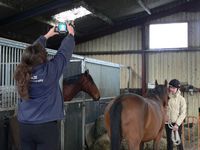 Jackie taking an image of the horse